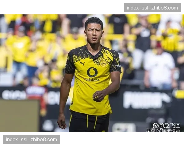 产业经济:多特蒙德公布最新财报,商业收入首次突破四亿欧元大关 产业经济:多特蒙德公布最新财报,商业收入首次突破四亿欧元大关